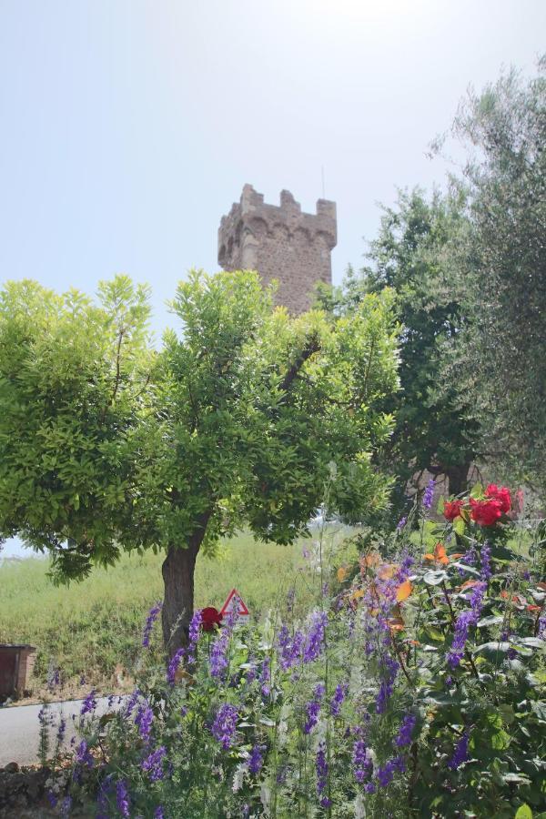Casa Costa Delle Caserme Montalcino Exterior photo